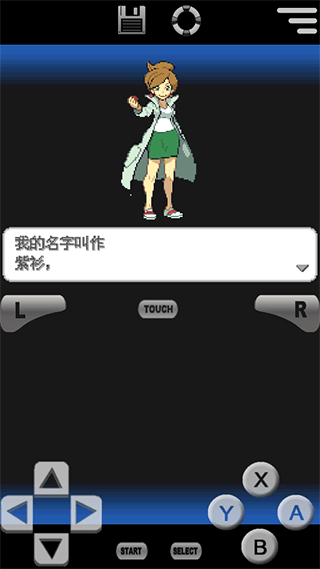精灵宝可梦黑2