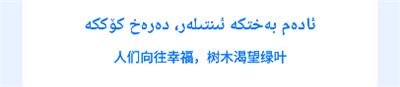 维语翻译官