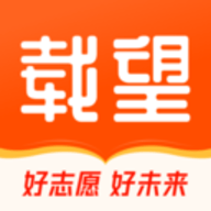 载望志愿