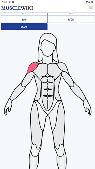 musclewiki中文版
