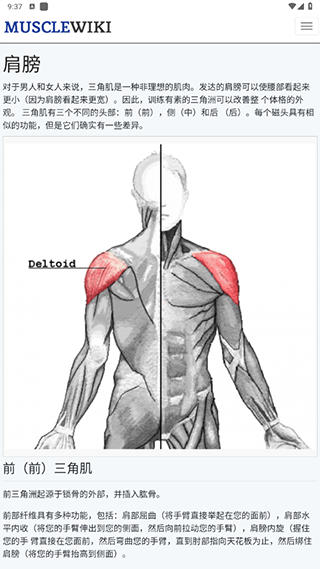 musclewiki中文版