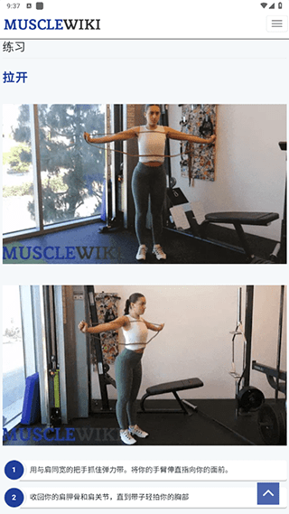 musclewiki中文版