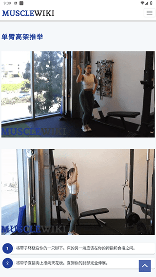 musclewiki中文版