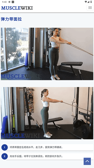 musclewiki中文版