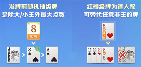 1789524985485266.jpg 2_480x270.jpg