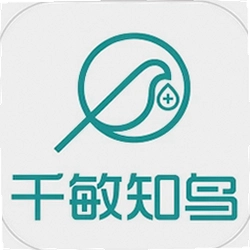 千敏知鸟