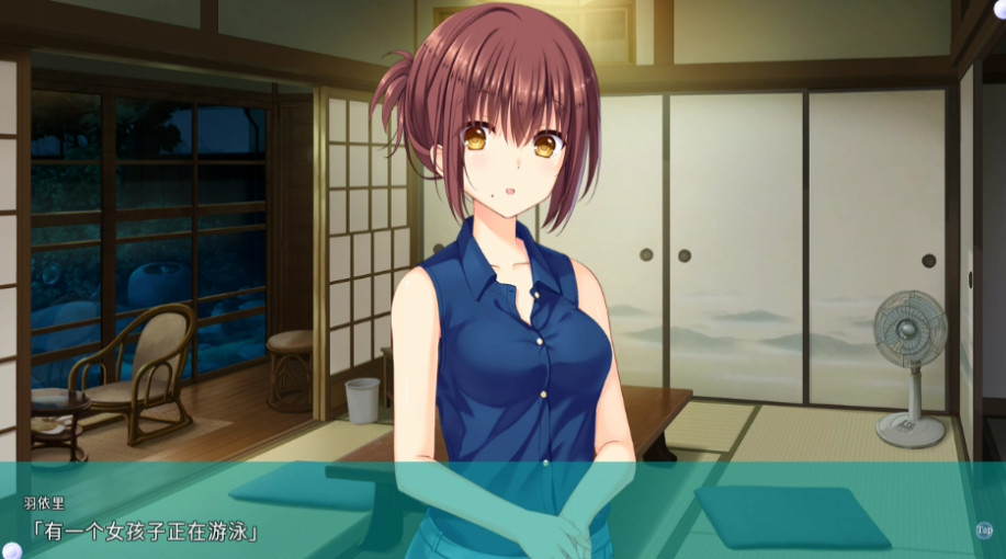 夏日口袋中文版