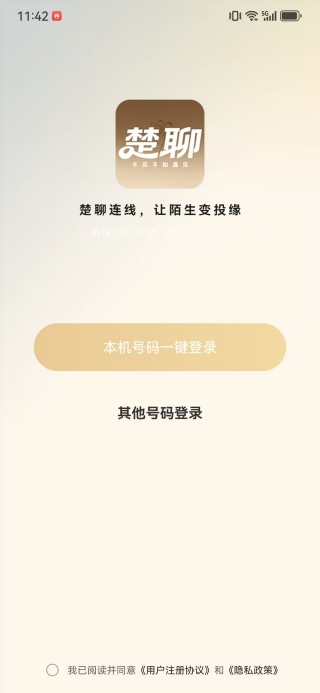 楚聊