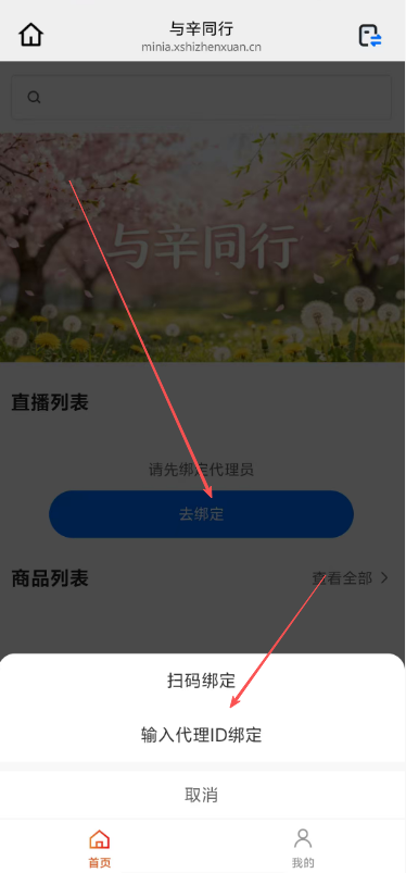 与辛同行