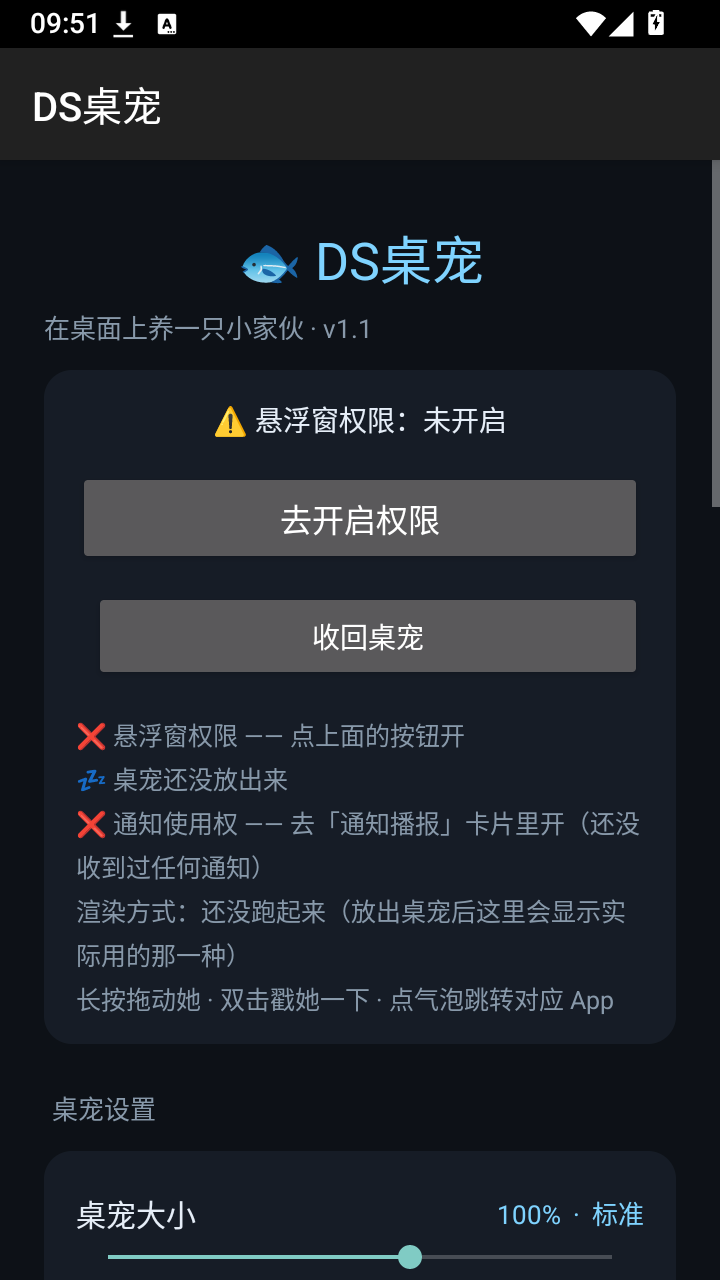 DS桌宠