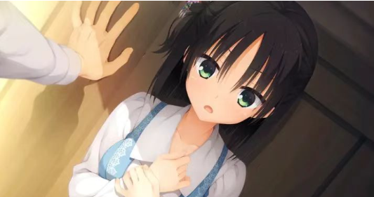 千恋万花汉化版