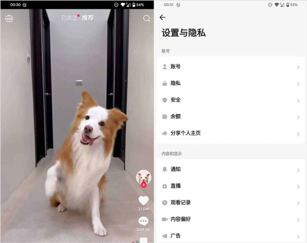 TikTok Plugin