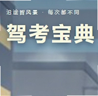 驾考宝典网页版