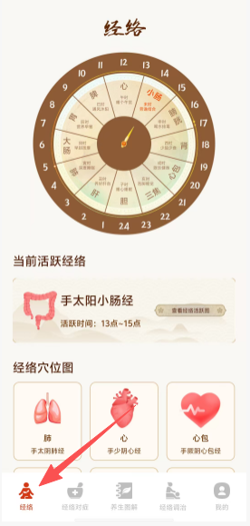 穴位经络图谱
