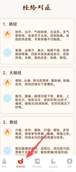 穴位经络图谱
