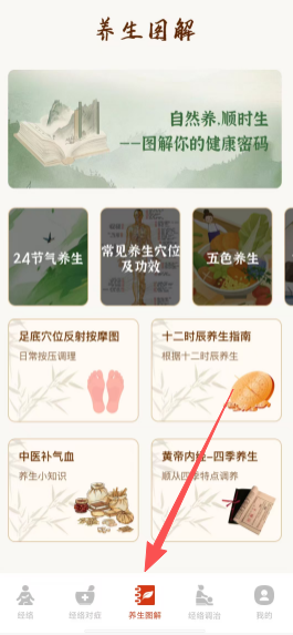 穴位经络图谱