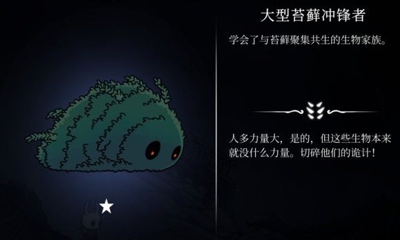 空洞骑士国际服