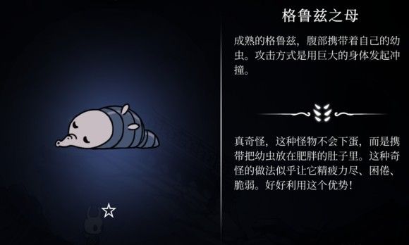 空洞骑士国际服