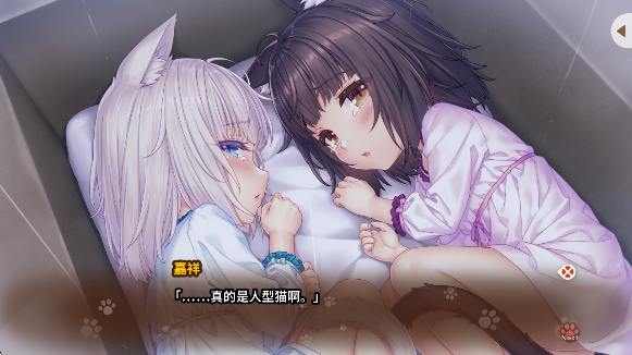 猫娘乐园汉化版