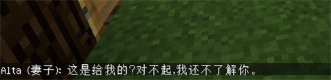 我的世界模拟人生